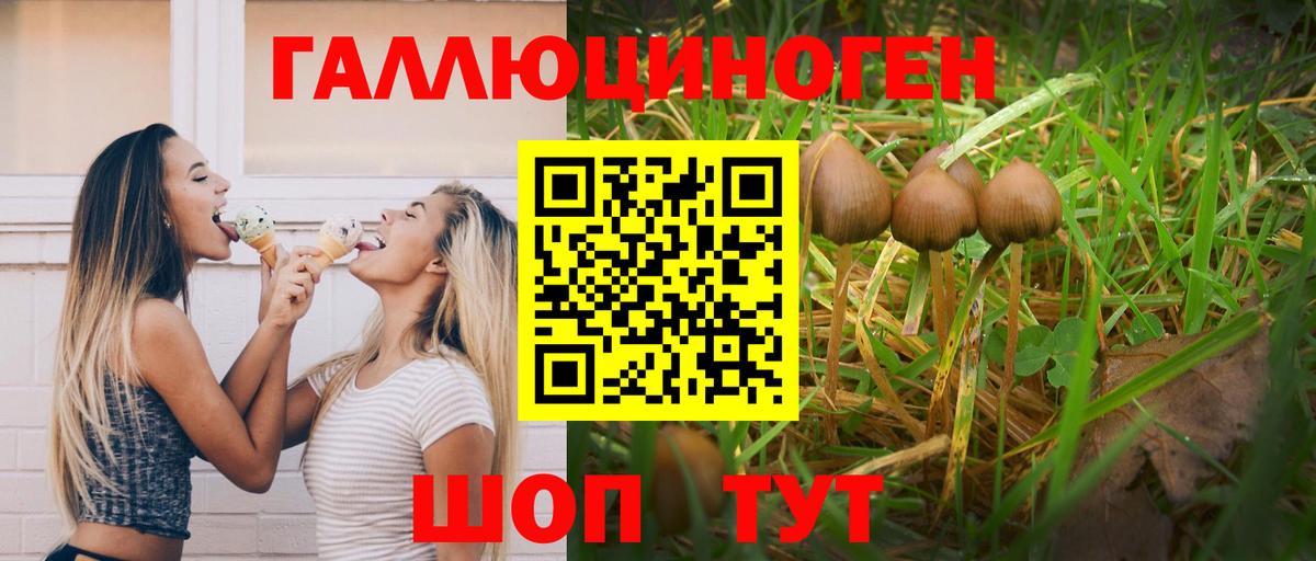 Галлюциногенные грибы Cubensis  Галлюциногенные грибы Magic Shrooms  Железногорск  Вход с VPN 